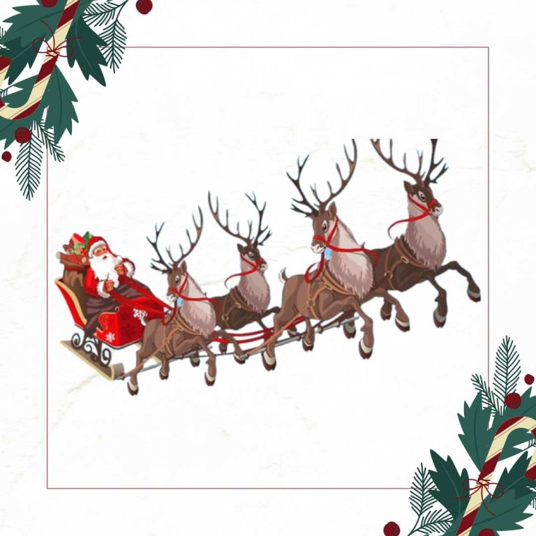 Evita di fare ciò che non sai, ma apprendi tutto ciò che occorre 28 2