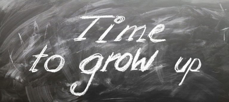 Regione Lombardia: voucher la formazione di Imprese e Professionisti 14 board 2128993 1280